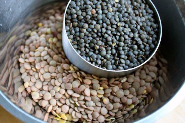 Ölümsüzlük iksiri dev mantar 34