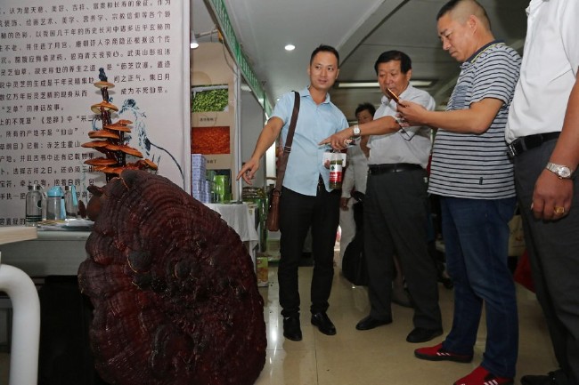 Ölümsüzlük iksiri dev mantar 5