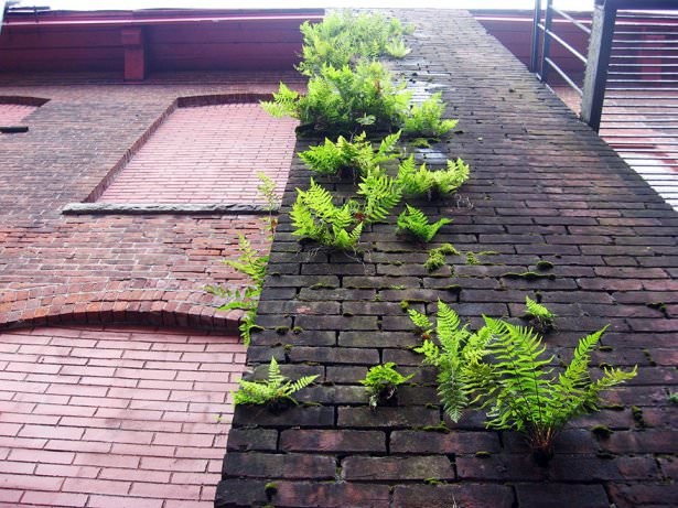 Doğanın insanla cesur savaşı 20