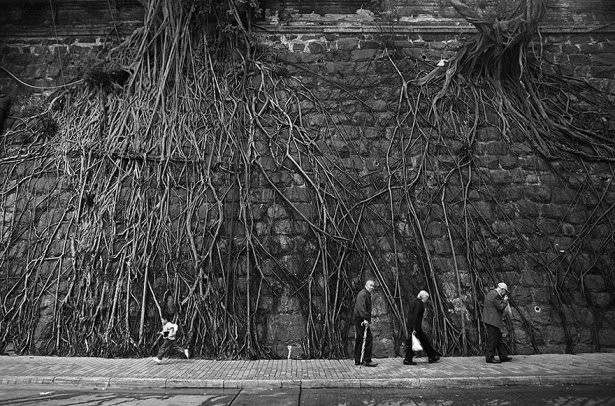 Doğanın insanla cesur savaşı 23