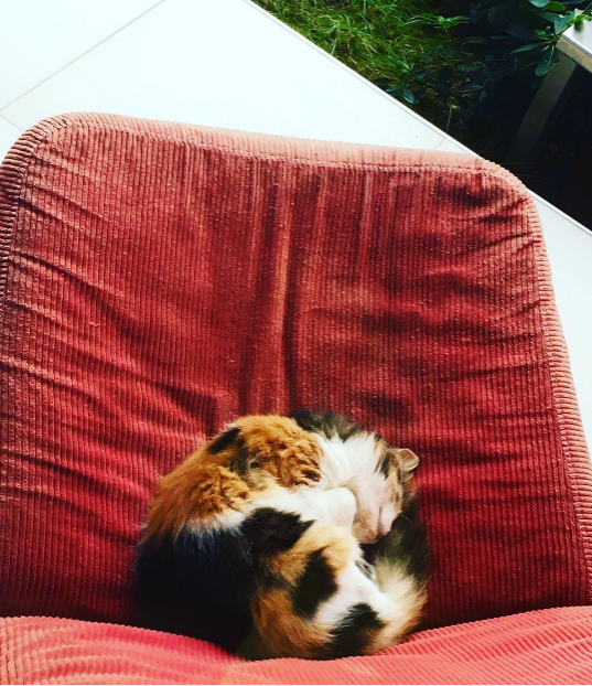 Instagram'da ünlüler - 27.09.2016 19