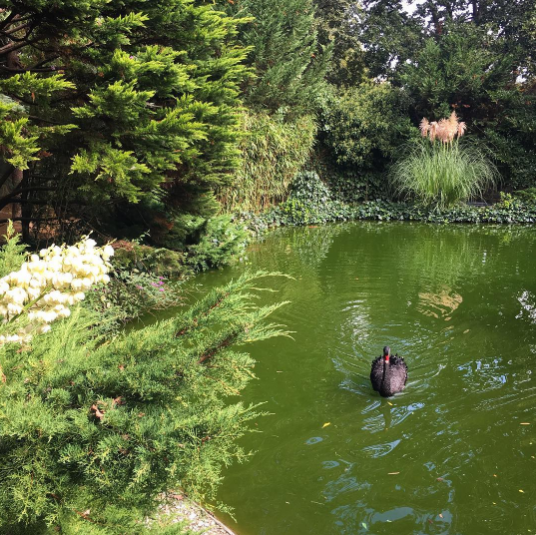 Instagram'da ünlüler - 27.09.2016 23