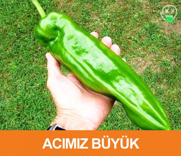 Saç baş yolduran kelime esprileri 9