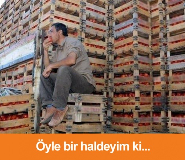 Saç baş yolduran kelime esprileri 32