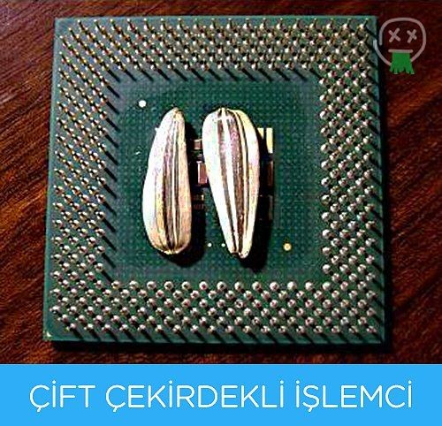 Saç baş yolduran kelime esprileri 41