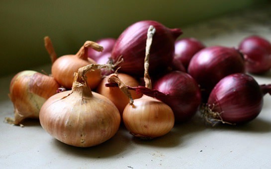 Asla buzdolabına koymayın 10