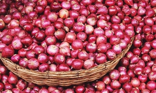 Asla buzdolabına koymayın 12