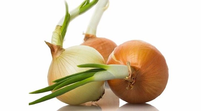 Asla buzdolabına koymayın 13