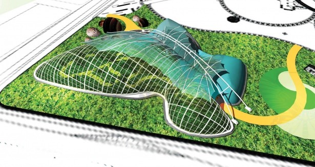 Kelebeklerin 5 bin kilometrelik göç hikayesi 4