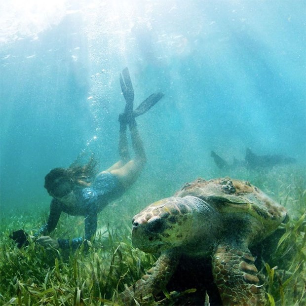 Büyükannesinin kamyoneti ile dünya turu 14