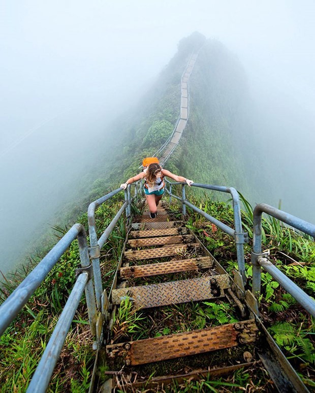 Büyükannesinin kamyoneti ile dünya turu 19