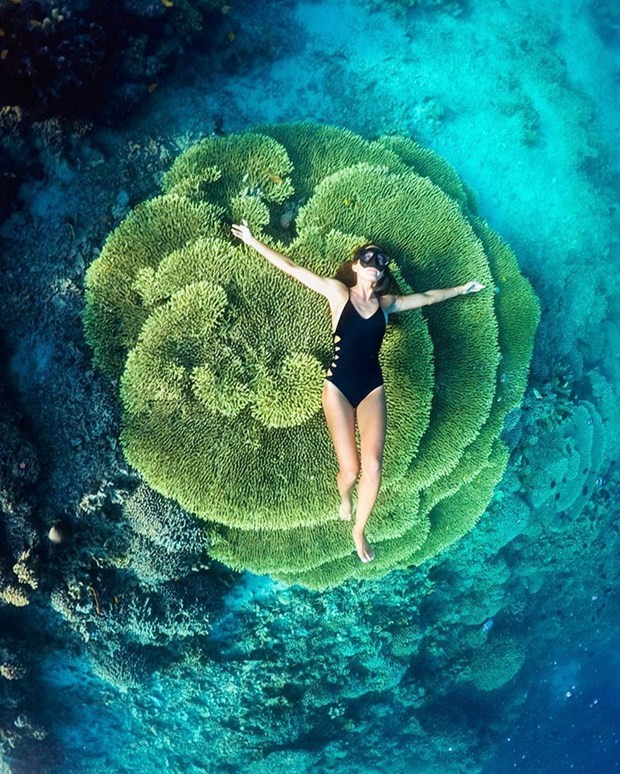 Büyükannesinin kamyoneti ile dünya turu 20