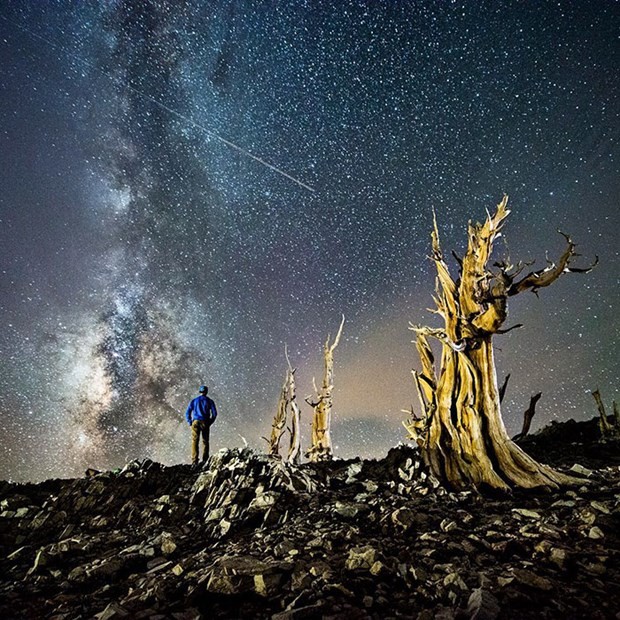 Büyükannesinin kamyoneti ile dünya turu 47