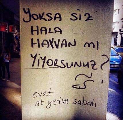 Sokaktan güldüren duvar yazıları 19