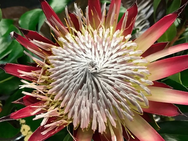 Hangisi daha iyi çekiyor? 1