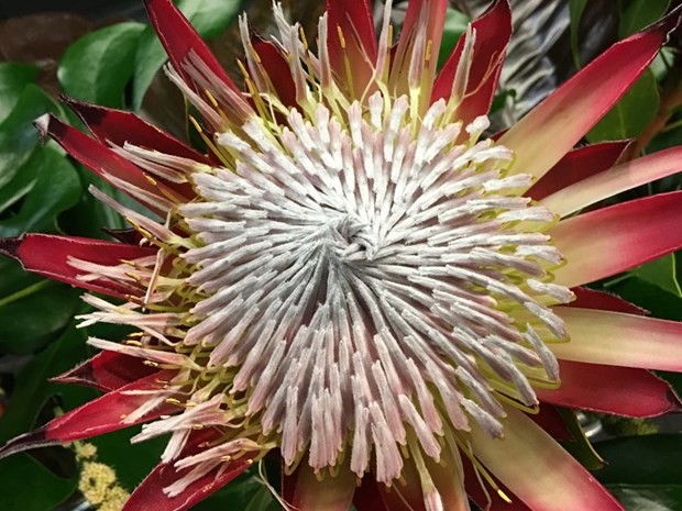 Hangisi daha iyi çekiyor? 2