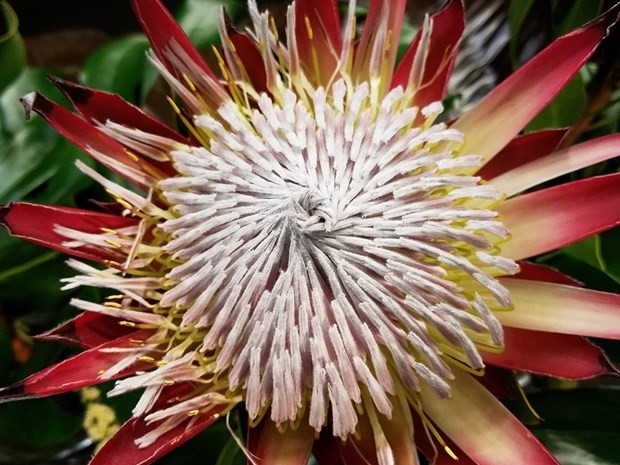 Hangisi daha iyi çekiyor? 3