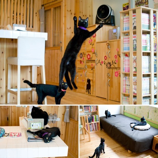 Ölmeden önce gitmeniz gereken restoranlar 16