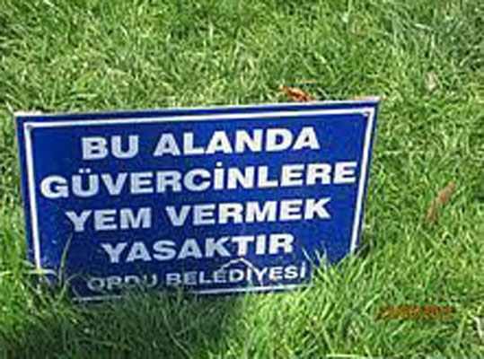 Yurdum insanından ibretlik yasaklar 21
