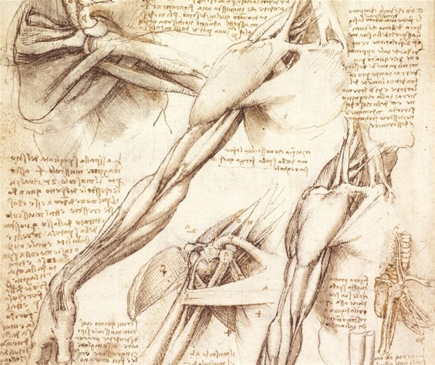 Leonardo da Vinci'nin tıp çizimleri! 14