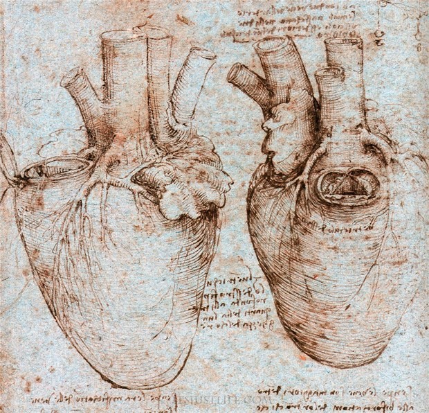 Leonardo da Vinci'nin tıp çizimleri! 8