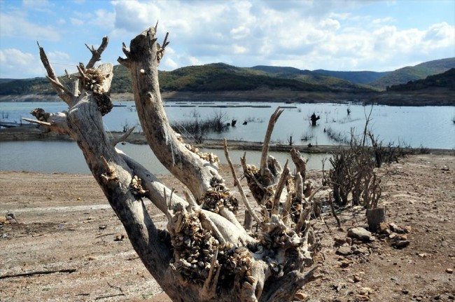 Sular altında kalan köy yıllar sonra ortaya çıktı 30