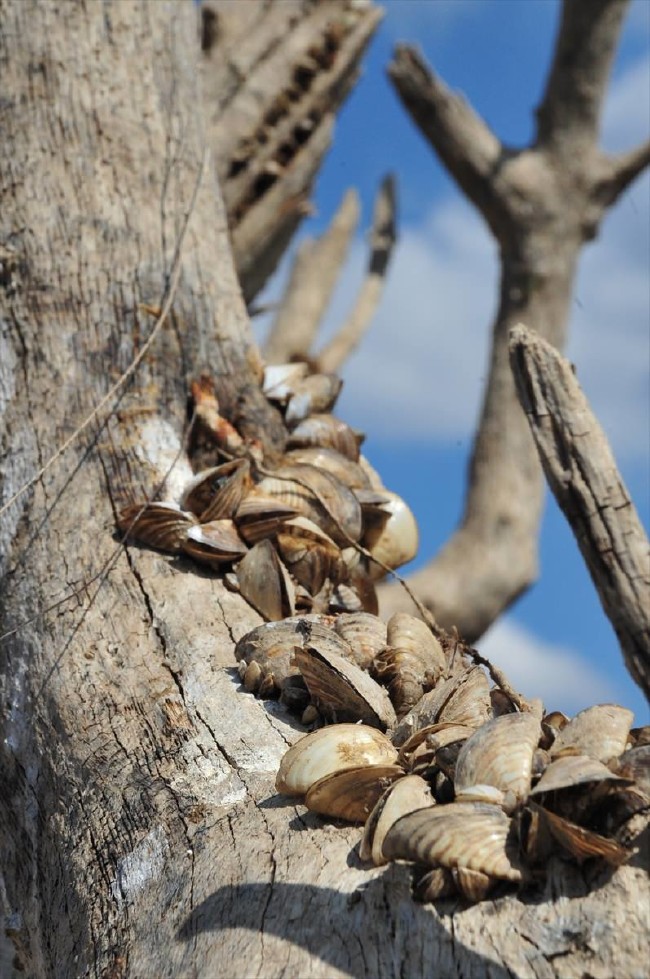 Sular altında kalan köy yıllar sonra ortaya çıktı 35