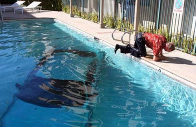 Dünyanın en inanılmaz kazaları 12