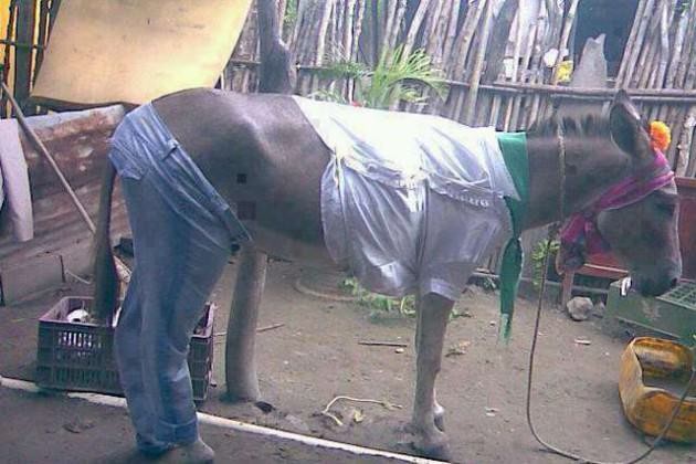 Gülmeye ihtiyacı olanlar buraya 20