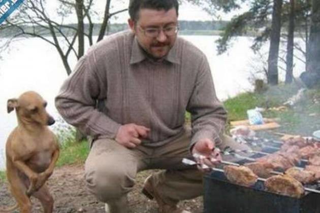 Gülmeye ihtiyacı olanlar buraya 22