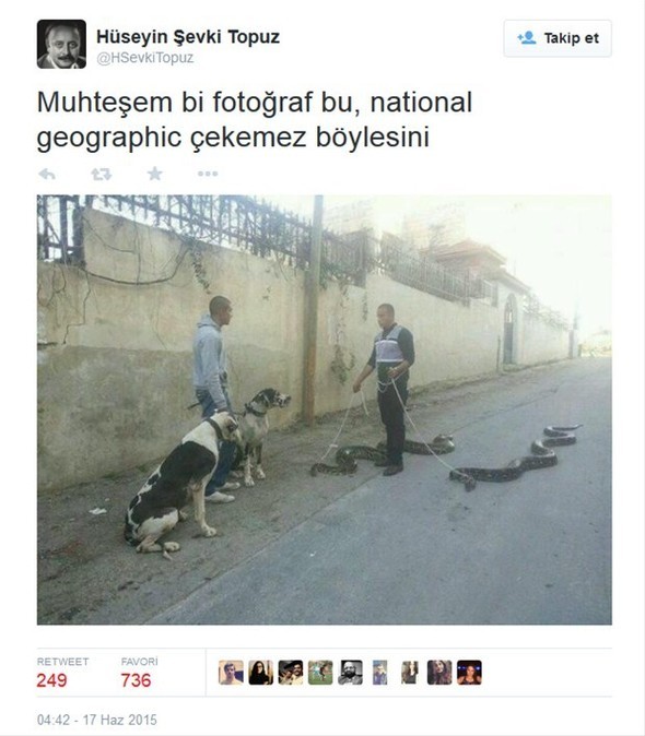 Gelmiş geçmiş en iyi tweetler 14