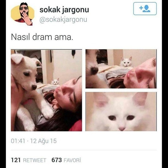 Gelmiş geçmiş en iyi tweetler 18