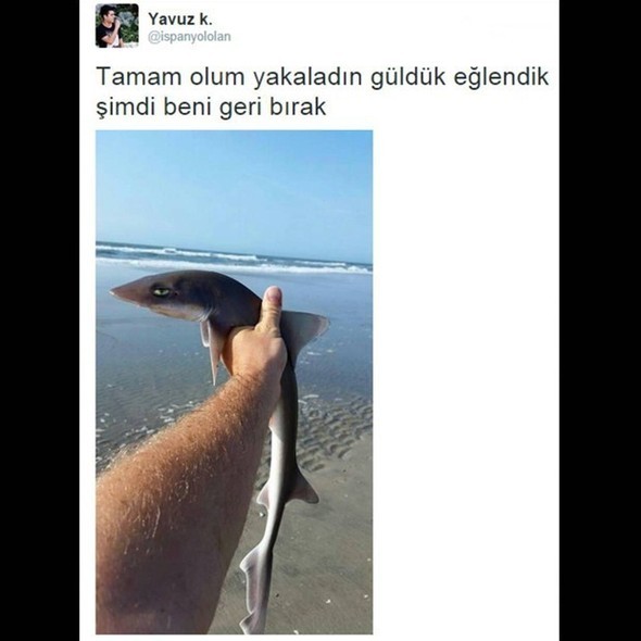 Gelmiş geçmiş en iyi tweetler 4