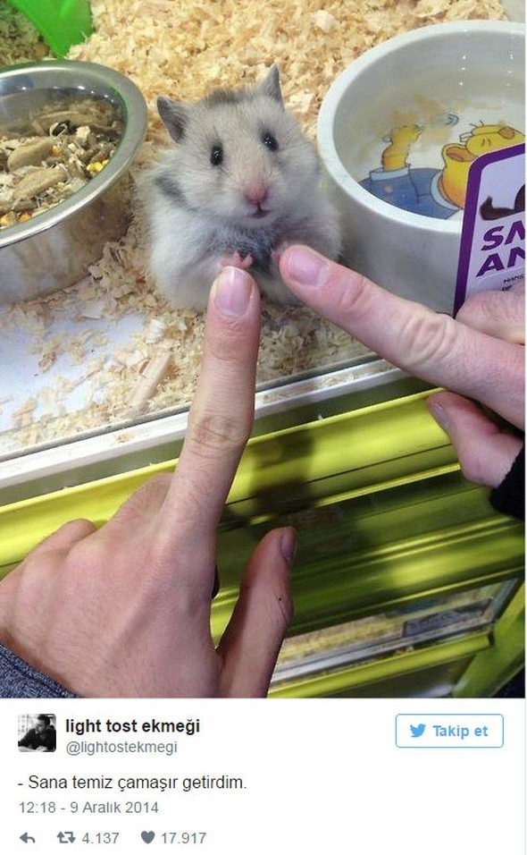 Gelmiş geçmiş en iyi tweetler 6