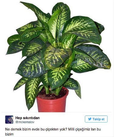 Gelmiş geçmiş en iyi tweetler 82