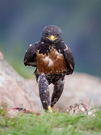 Karizması sosyal medyada olay oldu 1