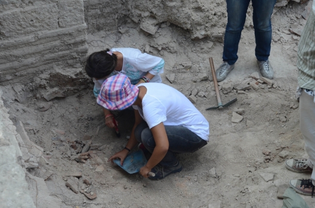 1400 yıllık depresyon ve kalp ilacı 1