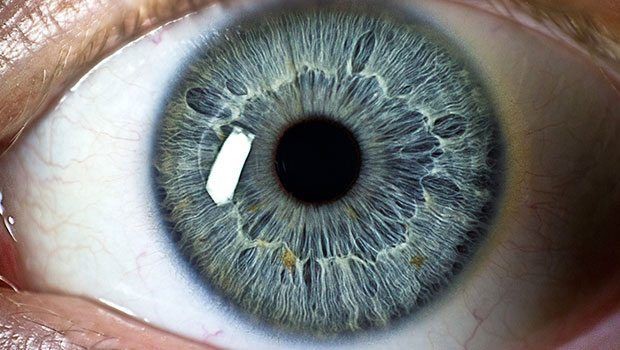 İşte vücut yaşınızı hesaplamanın yöntemi 19