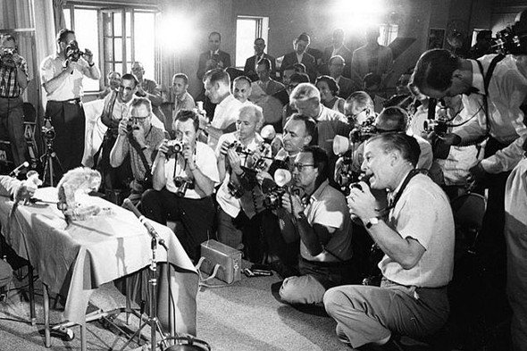 Deney amaçlı uzaya yollanan hayvanlar 14