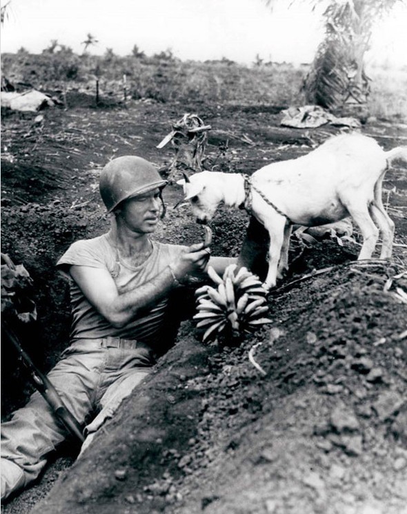 Tarihe damga vuran efsane fotoğraflar 17