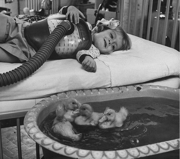 Tarihe damga vuran efsane fotoğraflar 5