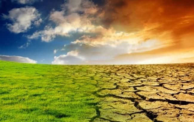 Donald Trump'ın inandığı şeyler 13