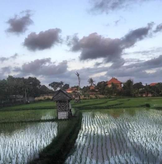 Şöhreti bırakıp yurtdışına gittiler 10