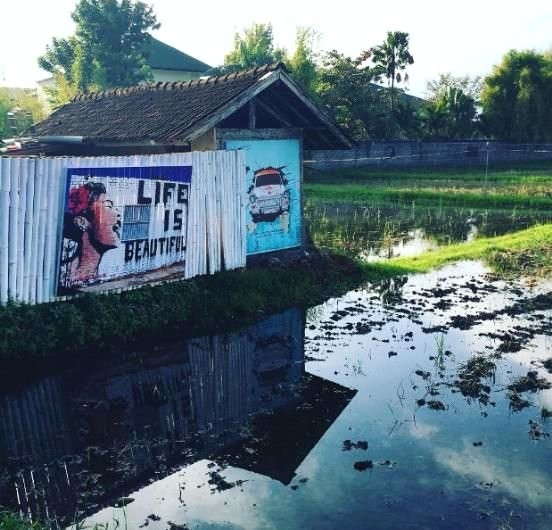 Şöhreti bırakıp yurtdışına gittiler 12