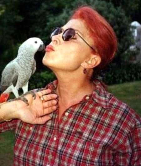 Şöhreti bırakıp yurtdışına gittiler 22