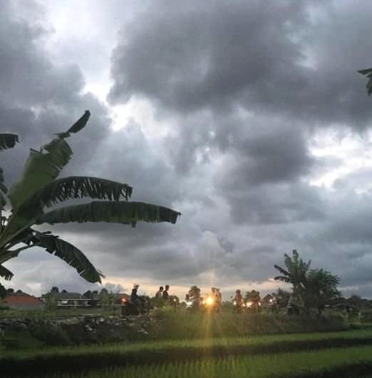 Şöhreti bırakıp yurtdışına gittiler 9