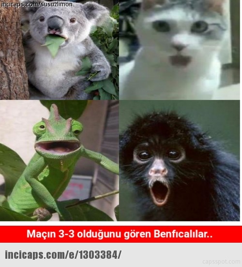 Beşiktaş - Benfica maçı capsleri! 11