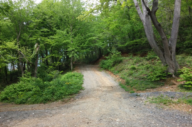 İstanbul'un nefes alınacak yerleri 7