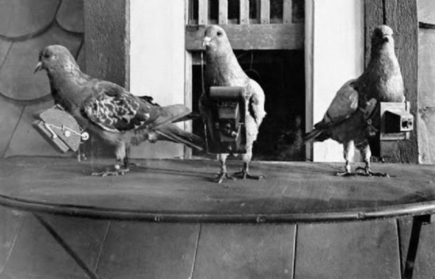 1.Dünya Savaşı'nın  bilinmeyen gizli silahları 16