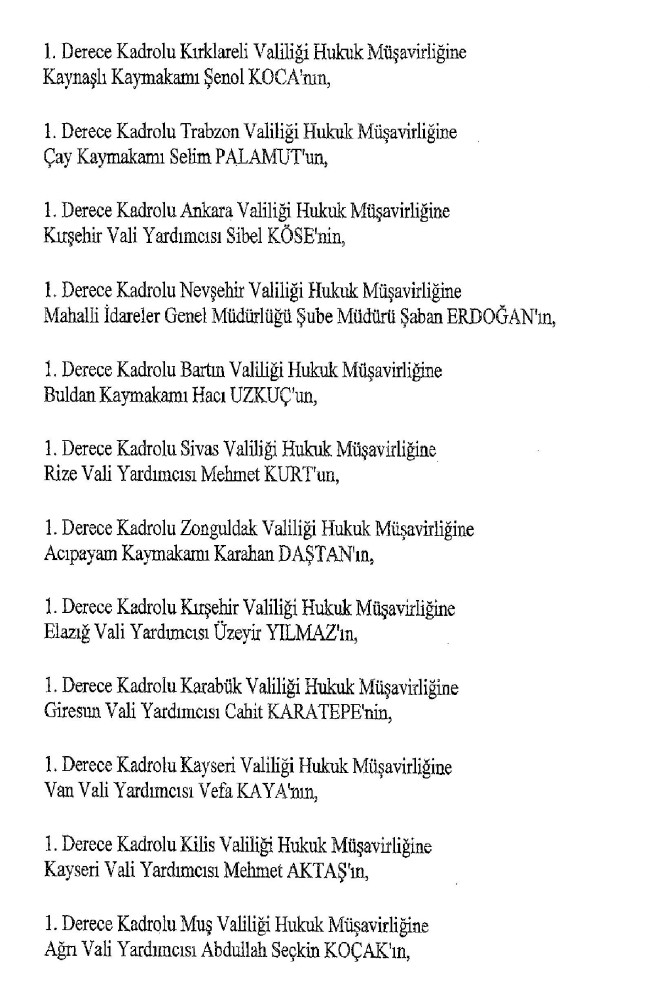 Valiler ve kaymakamlar kararnamesi ile atananlar tam liste 41